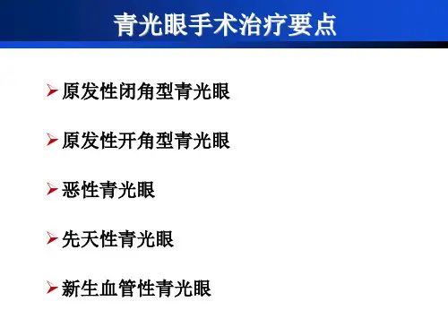青光眼手术治疗要点PPT课件.ppt