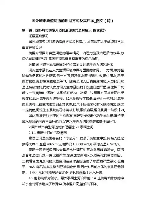 国外城市典型河道的治理方式及其启示_图文（精）