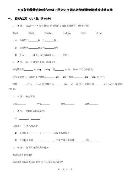 西双版纳傣族自治州六年级下学期语文期末教学质量检测模拟试卷B卷