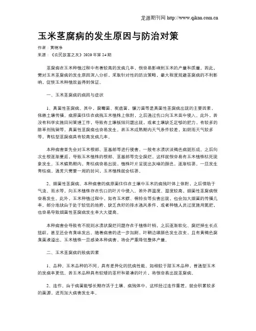 玉米茎腐病的发生原因与防治对策