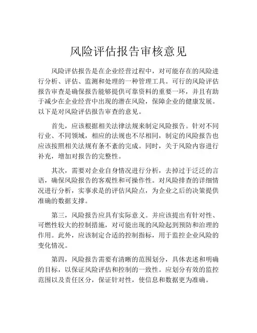 风险评估报告审核意见