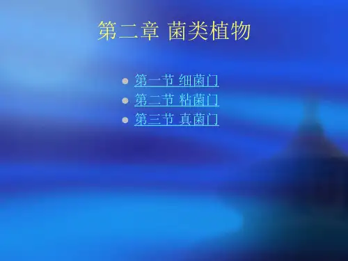 第二章 菌类植物