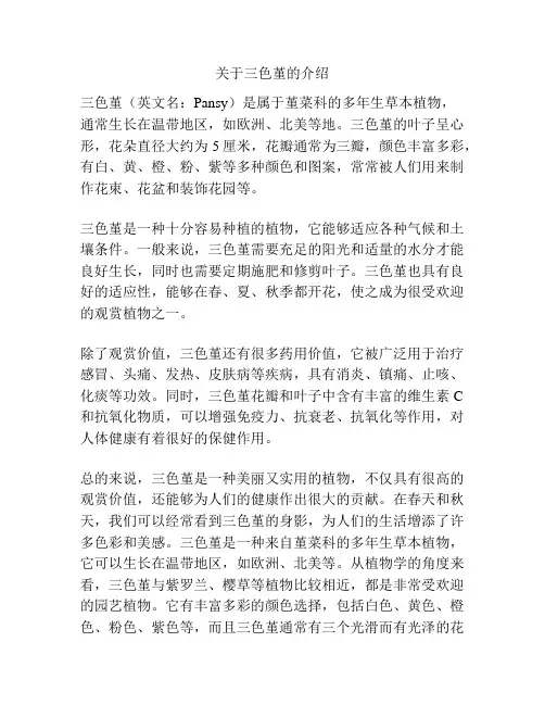 关于三色堇的介绍