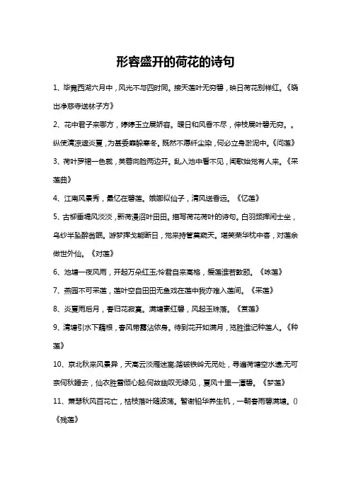 形容盛开的荷花的诗句