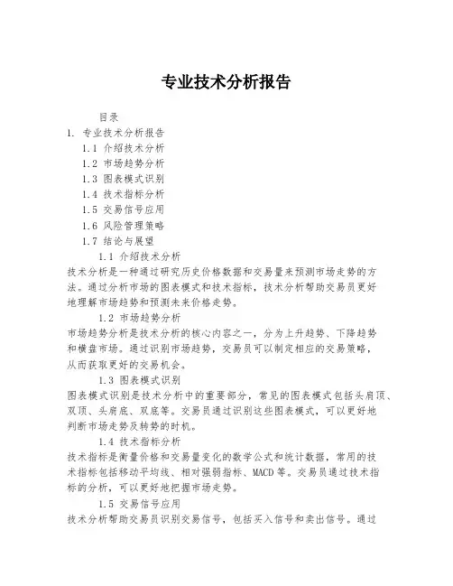 专业技术分析报告