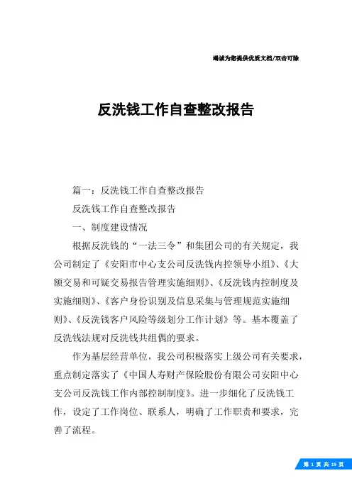 反洗钱工作自查整改报告