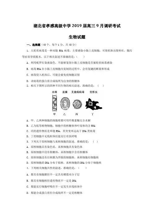 2019届高考生物百强名校试题解析精编版：湖北省孝感高级中学2019届高三9月调考(原卷版)