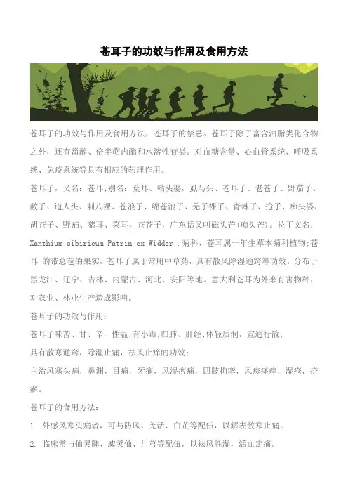 【推荐】苍耳子的功效与作用及食用方法