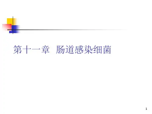 第十一章--肠道感染细菌