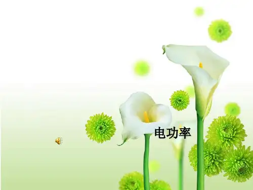 新人教版九年级物理全18-2电功率教学课件 (共25张PPT)
