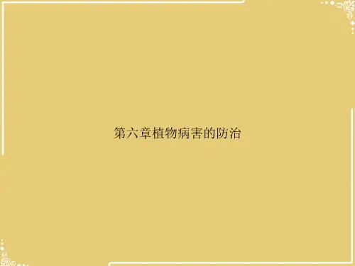 植物病害的防治【共38张PPT】