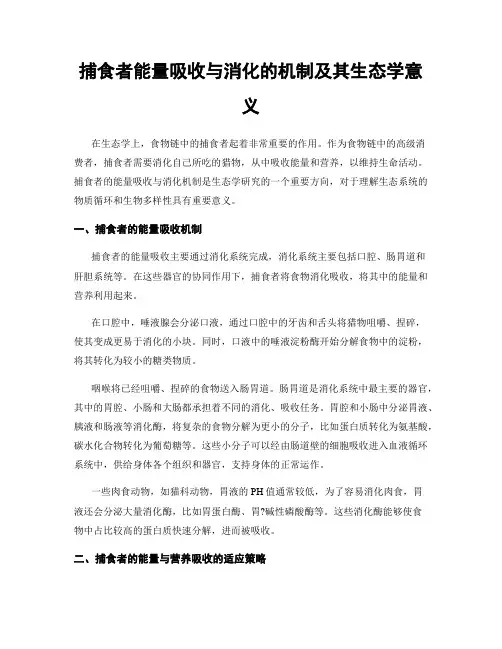 捕食者能量吸收与消化的机制及其生态学意义
