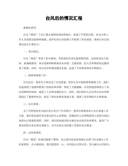 台风后的情况汇报