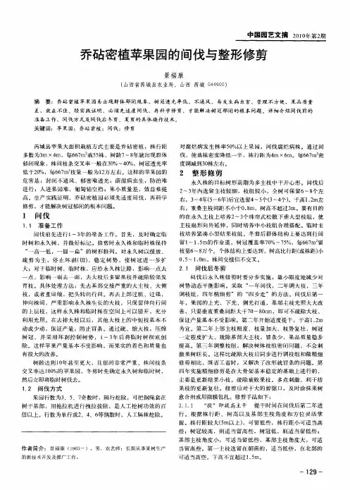 乔砧密植苹果园的间伐与整形修剪