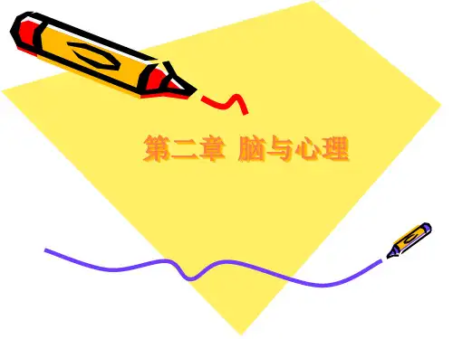 第二章脑与心理PPT课件