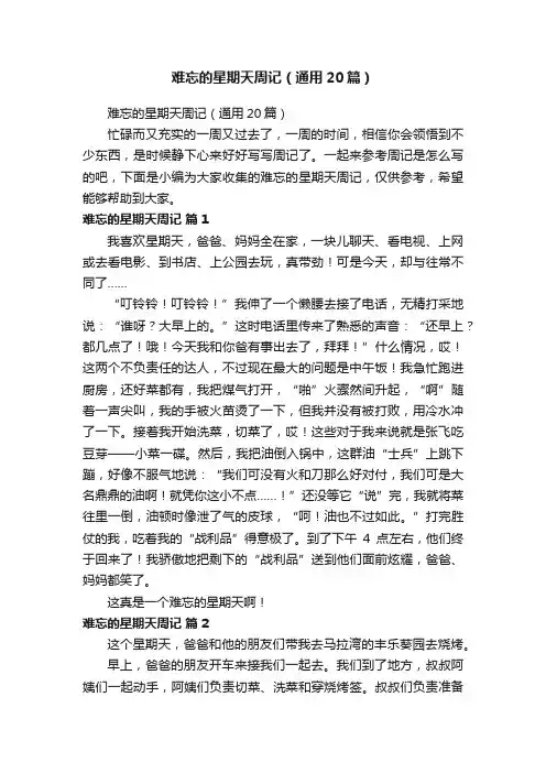 难忘的星期天周记（通用20篇）