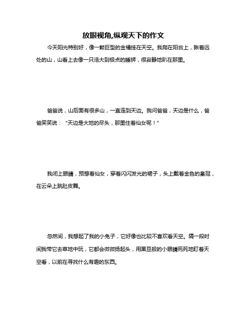 放眼视角,纵观天下的作文
