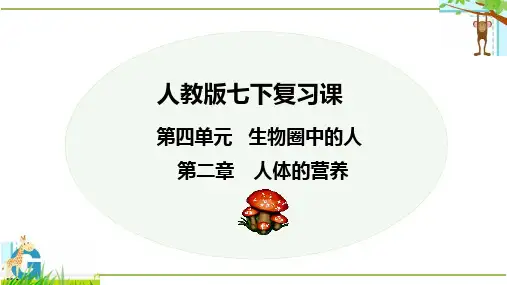第二章人体的营养(复习课件)-七年级生物下册单元复习课件(人教版)