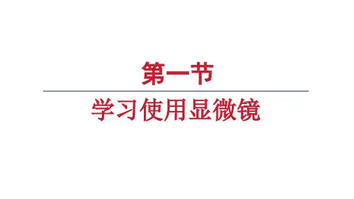 1.2.1学习使用显微镜课件人教版生物七年级上册