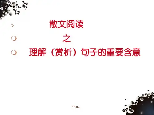 散文阅读理解句子含义复习.pptx