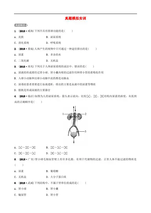 2020年中考生物第四单元第五章真题模拟实训(含答案)