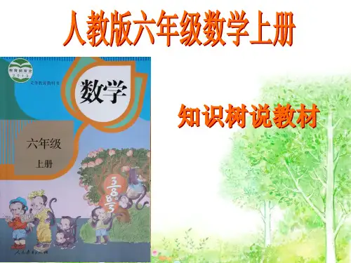 六年级数学上册知识树