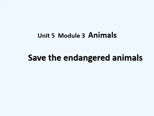 【素材】英语上教版八年级下册Unit 5 课件 Save the endangered animals (Period 5)2