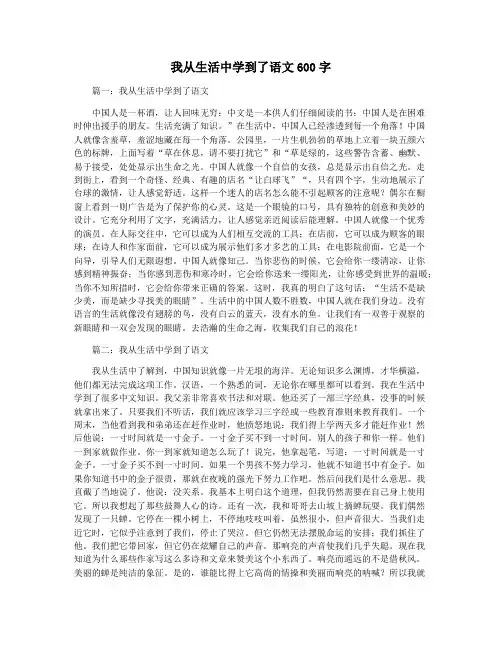 我从生活中学到了语文600字