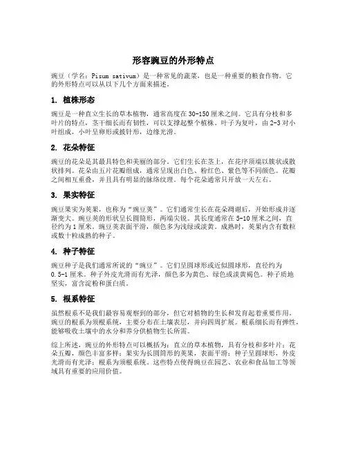 形容豌豆的外形特点
