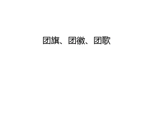 团旗、团徽、团歌培训讲学