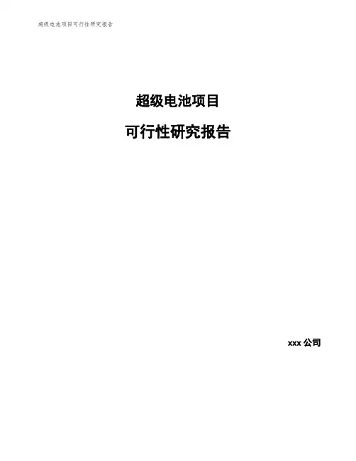 超级电池项目可行性研究报告