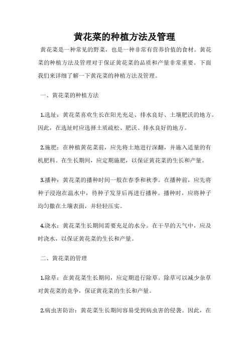 黄花菜的种植方法及管理