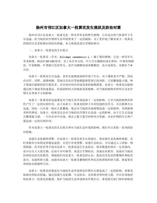扬州市邗江区加拿大一枝黄花发生现状及防治对策