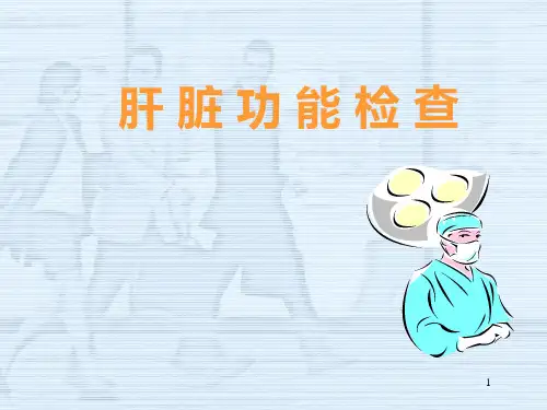 肝脏功能检查 PPT课件【52页】