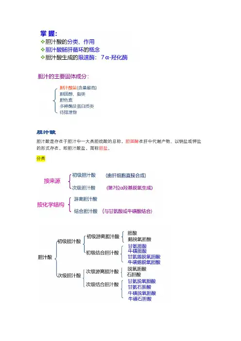 肝脏生化--胆汁酸