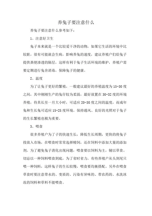 养兔子要注意什么