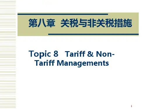 关税措施PPT课件