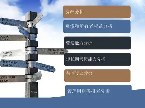 山东黄金矿业股份有限公司财报分析