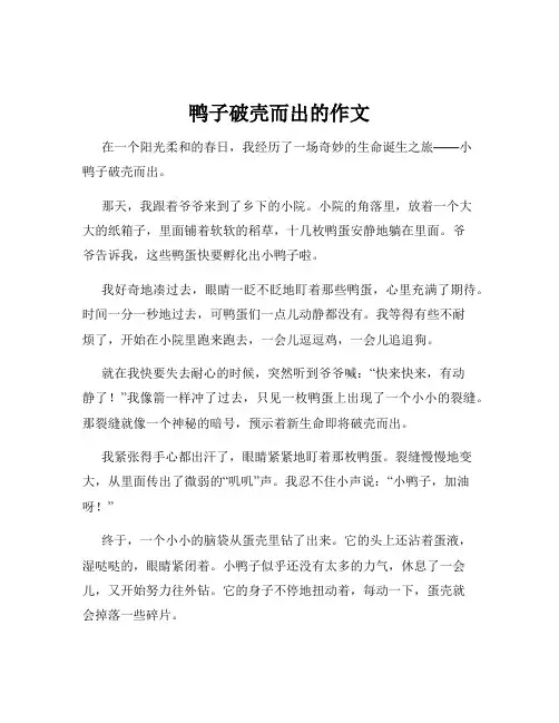 鸭子破壳而出的作文