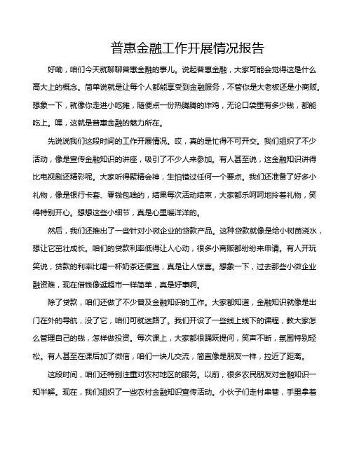 普惠金融工作开展情况报告
