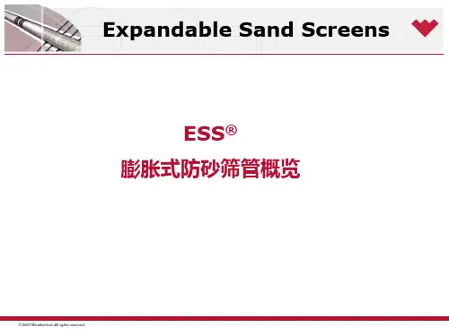 膨胀式防砂筛管概览