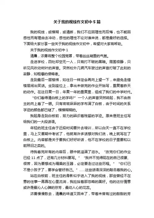 关于我的视线作文初中5篇