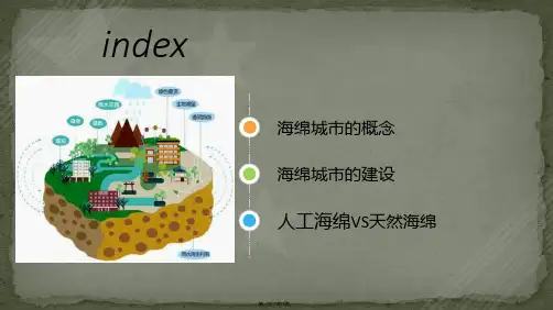 海绵城市基本概念介绍及建设PPT-图文