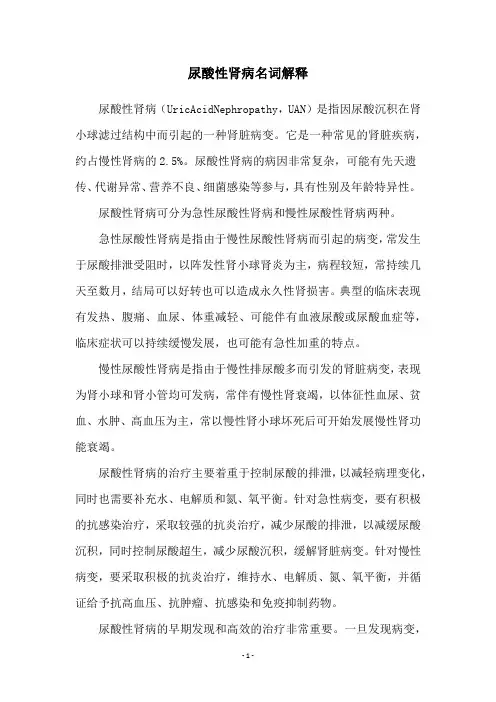 尿酸性肾病名词解释