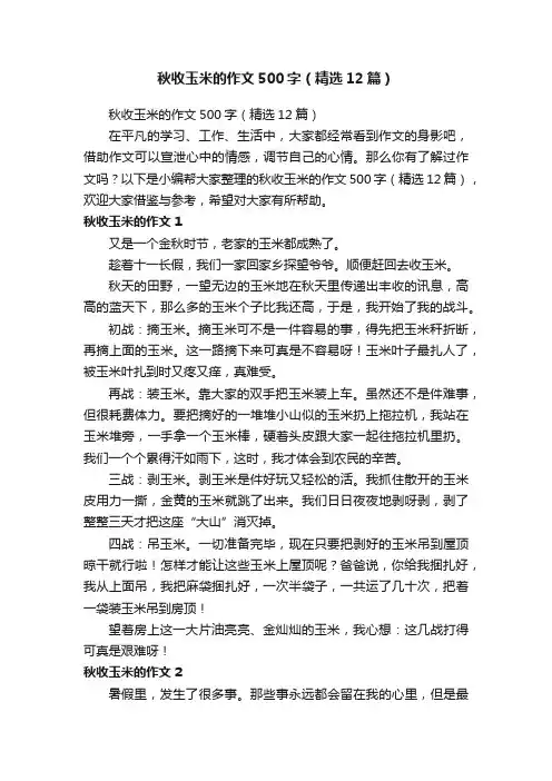 秋收玉米的作文500字（精选12篇）