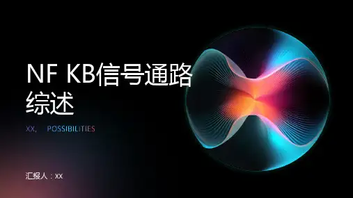 NF KB信号通路综述