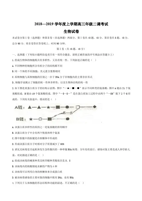河北省衡水中学2019届高三上学期二调考试生物试题(含答案)