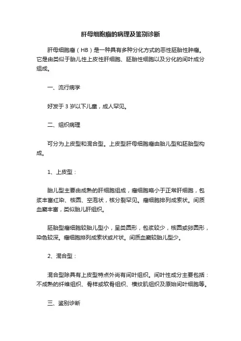 肝母细胞瘤的病理及鉴别诊断
