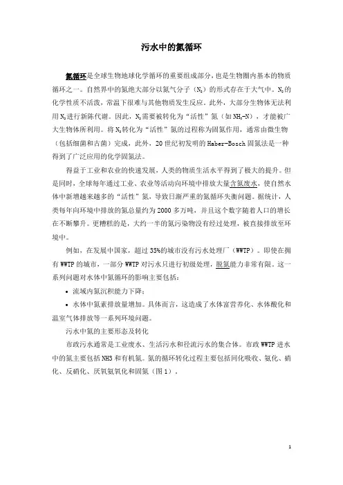 污水中的氮循环