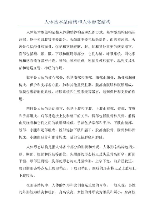 人体基本型结构和人体形态结构